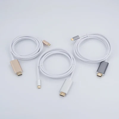 Câble adaptateur USB Type C vers Display Port