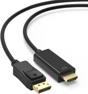 Câble convertisseur Displayport (DP) vers HDTV 6FT pour projecteur HDTV